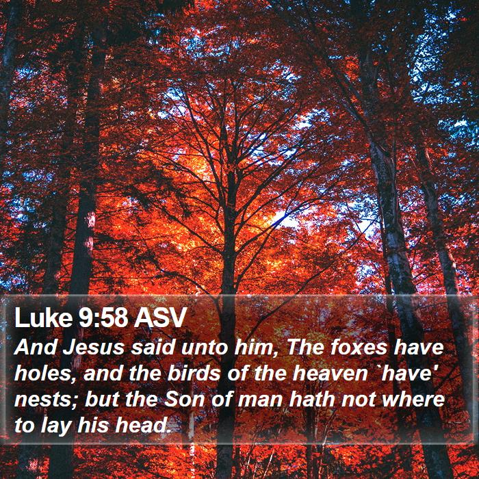 Luke 9:58 ASV Bible Study