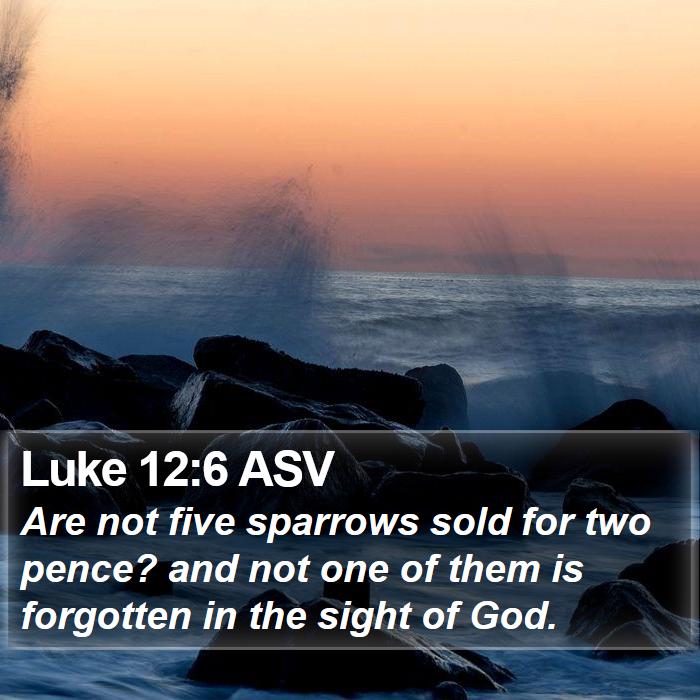 Luke 12:6 ASV Bible Study