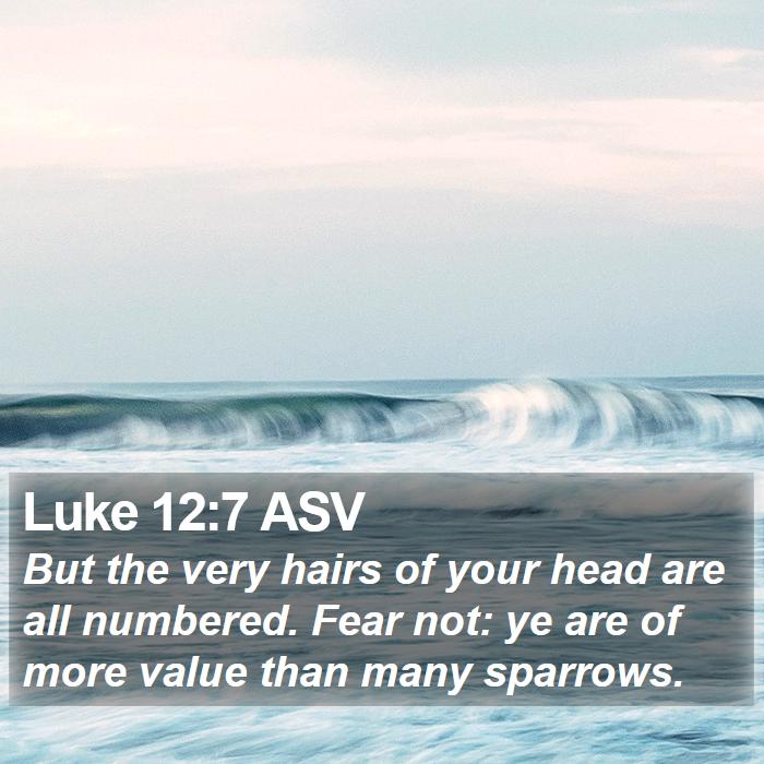 Luke 12:7 ASV Bible Study