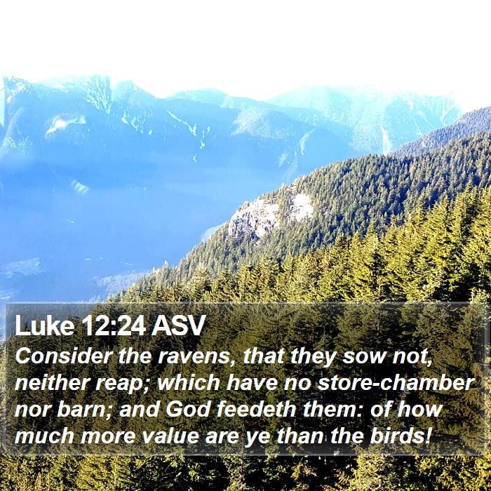 Luke 12:24 ASV Bible Study