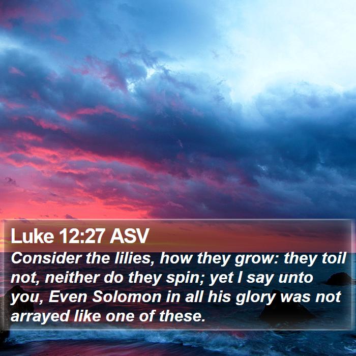 Luke 12:27 ASV Bible Study