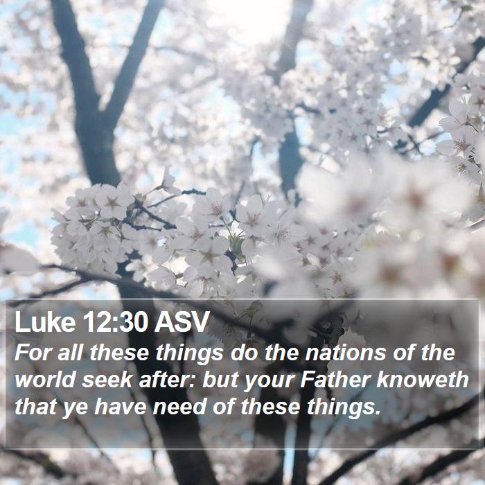 Luke 12:30 ASV Bible Study