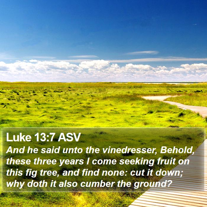 Luke 13:7 ASV Bible Study