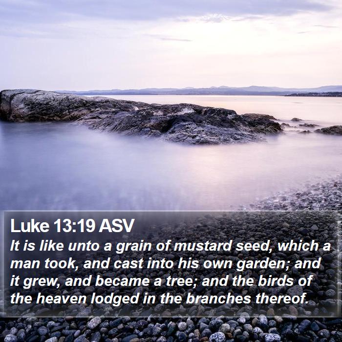 Luke 13:19 ASV Bible Study