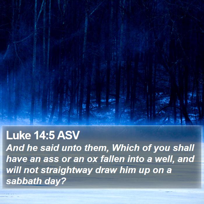 Luke 14:5 ASV Bible Study