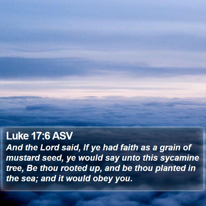 Luke 17:6 ASV Bible Study