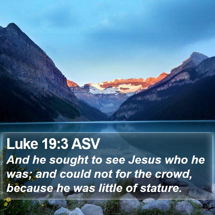 Luke 19:3 ASV Bible Study