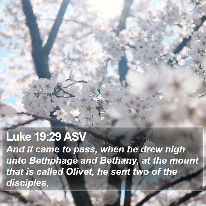 Luke 19:29 ASV Bible Study