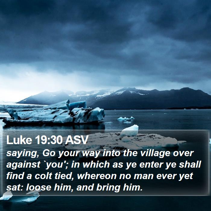 Luke 19:30 ASV Bible Study