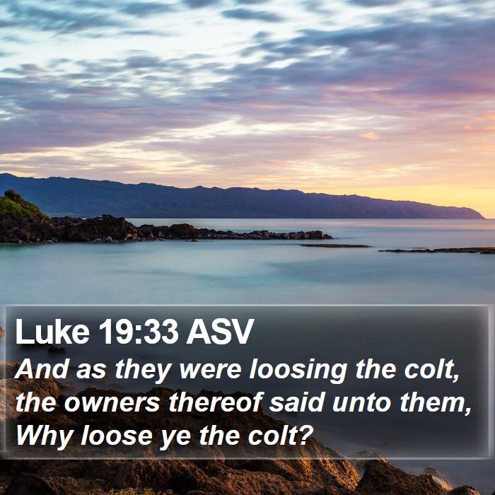 Luke 19:33 ASV Bible Study