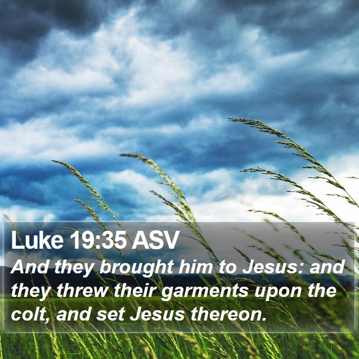 Luke 19:35 ASV Bible Study