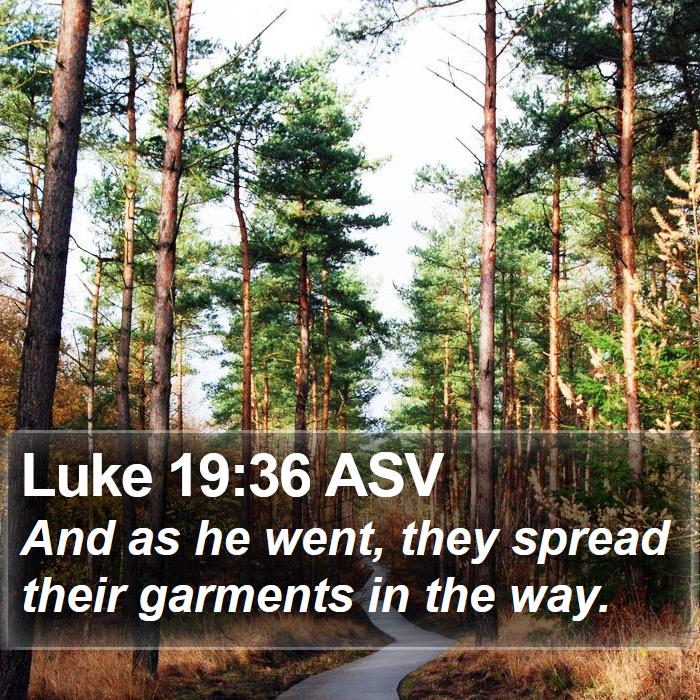 Luke 19:36 ASV Bible Study