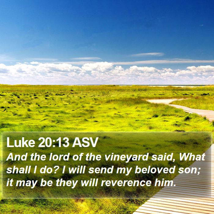 Luke 20:13 ASV Bible Study