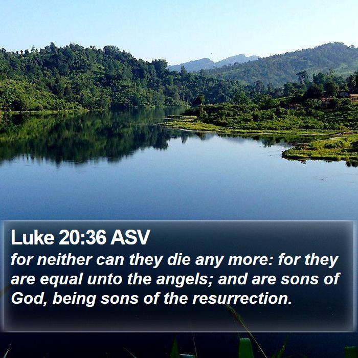 Luke 20:36 ASV Bible Study