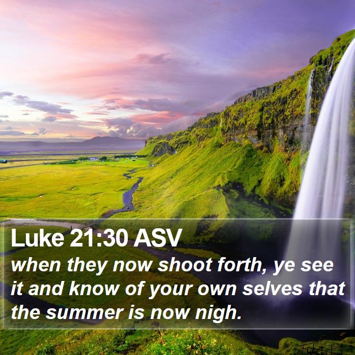 Luke 21:30 ASV Bible Study