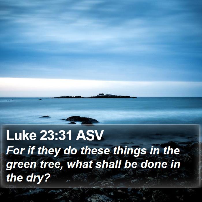 Luke 23:31 ASV Bible Study