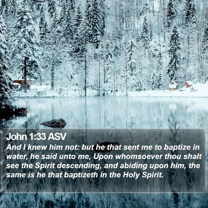 John 1:33 ASV Bible Study