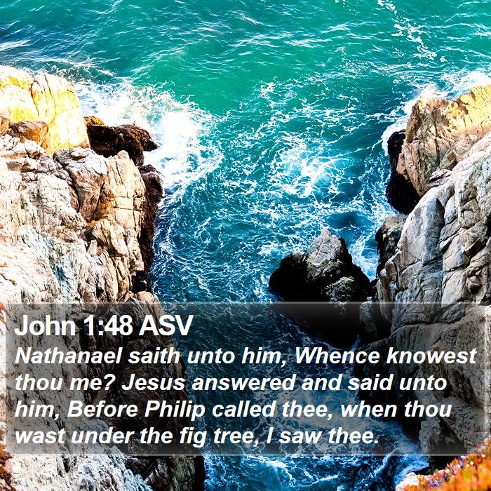 John 1:48 ASV Bible Study