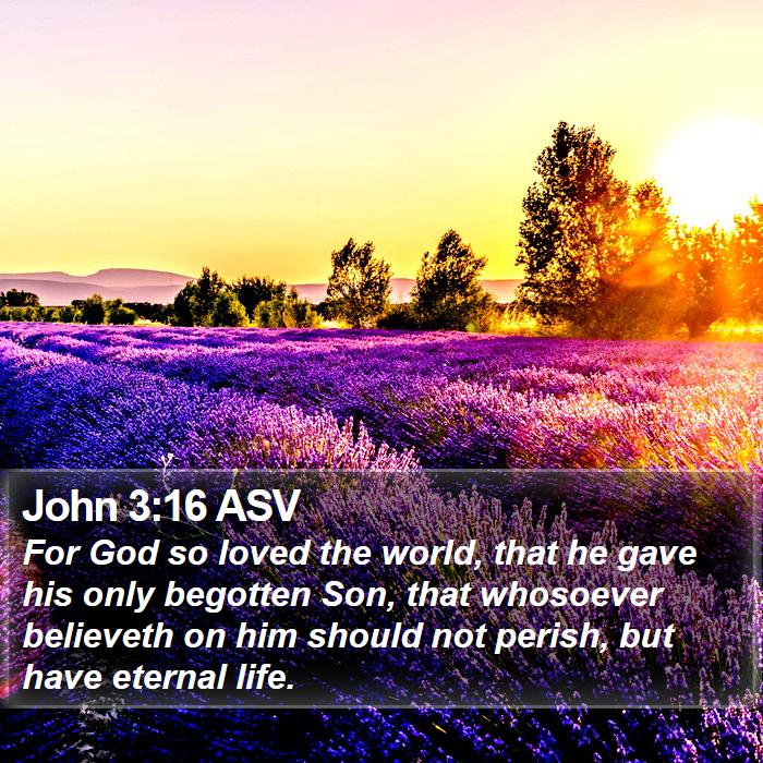 John 3:16 ASV Bible Study