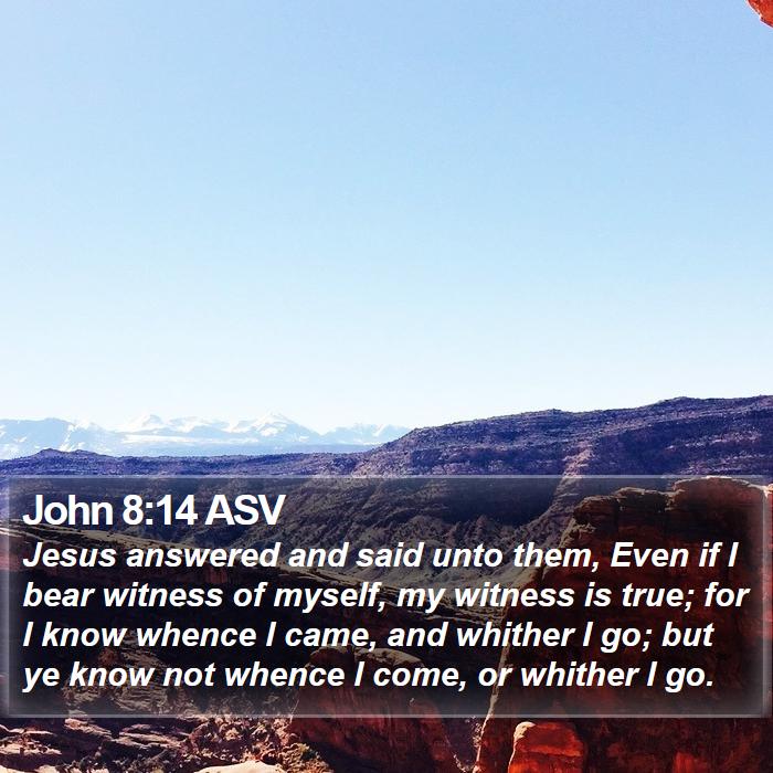 John 8:14 ASV Bible Study