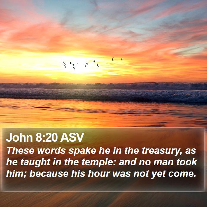 John 8:20 ASV Bible Study