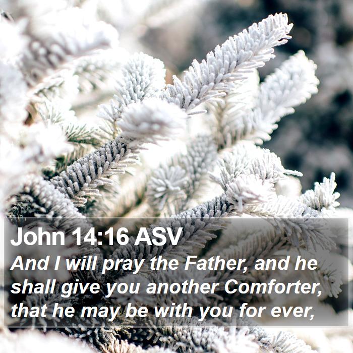 John 14:16 ASV Bible Study