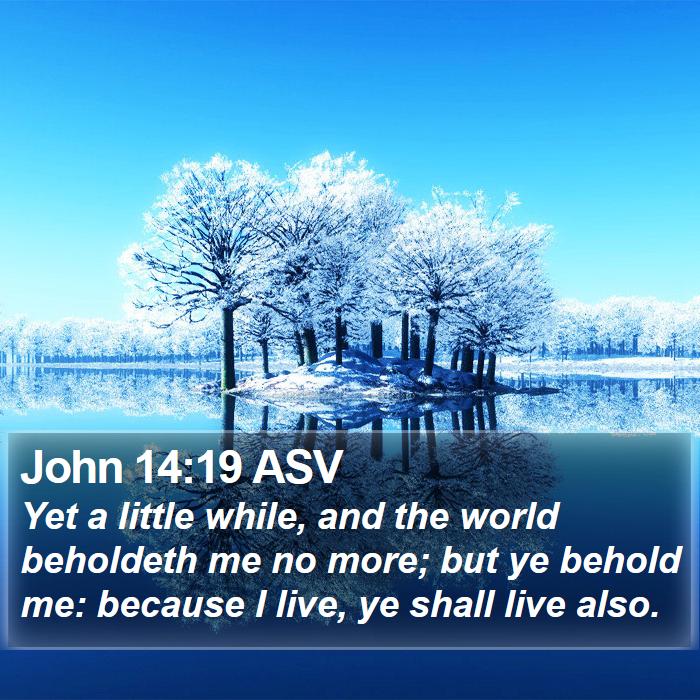 John 14:19 ASV Bible Study