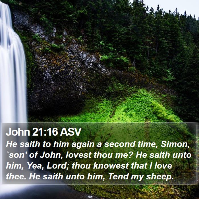 John 21:16 ASV Bible Study