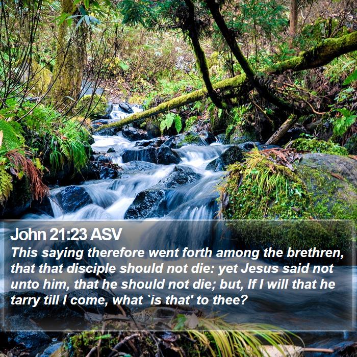 John 21:23 ASV Bible Study