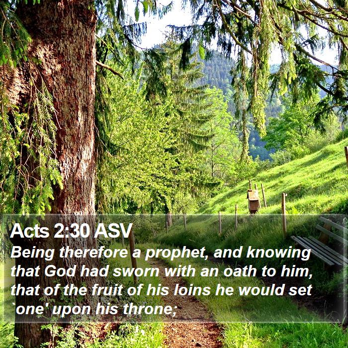 Acts 2:30 ASV Bible Study