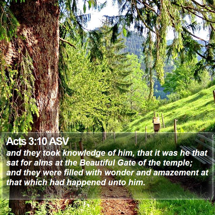 Acts 3:10 ASV Bible Study