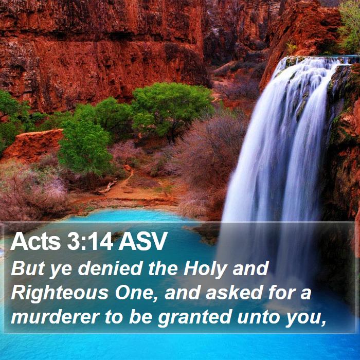 Acts 3:14 ASV Bible Study