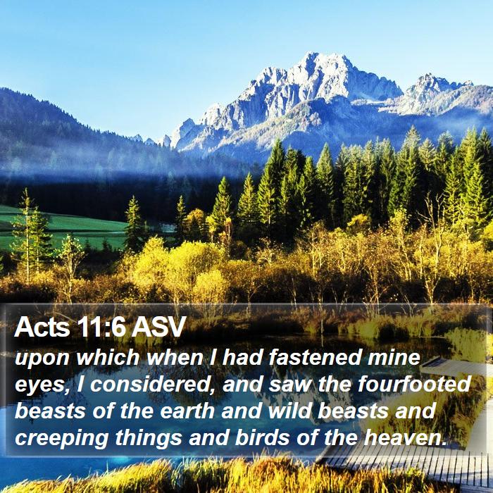 Acts 11:6 ASV Bible Study