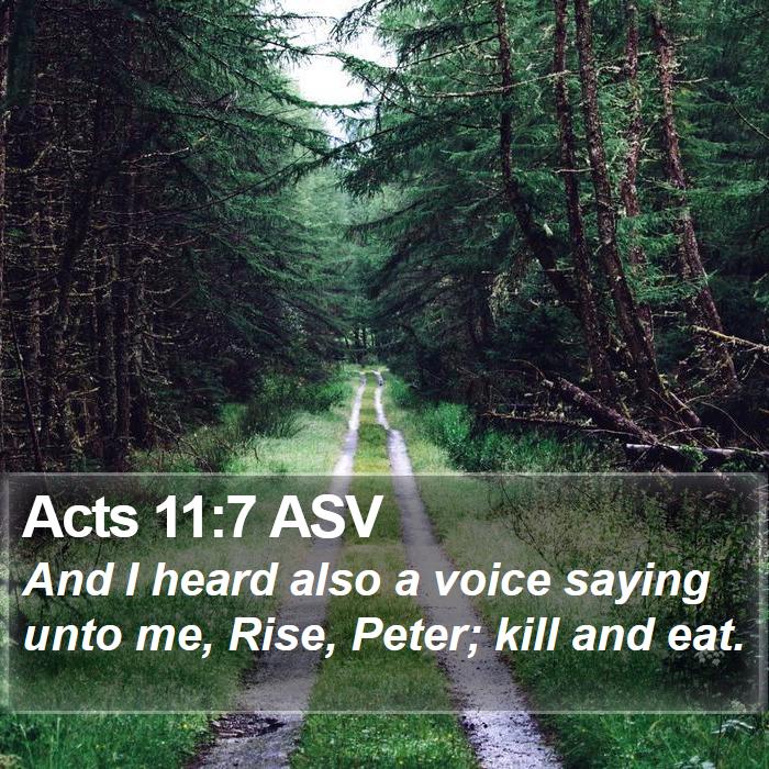 Acts 11:7 ASV Bible Study