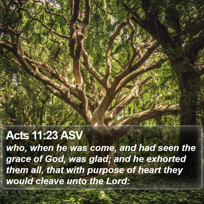 Acts 11:23 ASV Bible Study