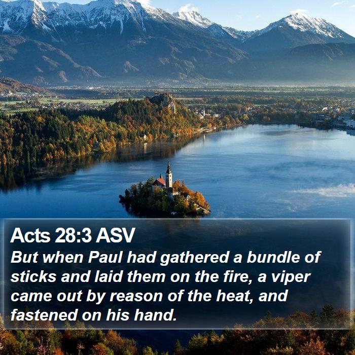 Acts 28:3 ASV Bible Study