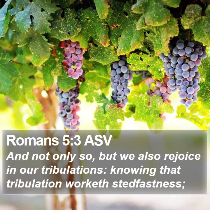 Romans 5:3 ASV Bible Study