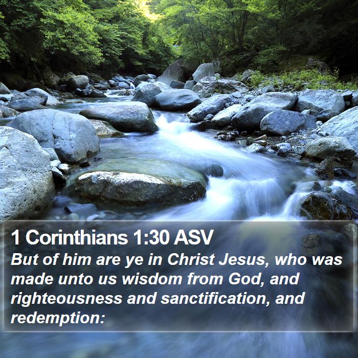 1 Corinthians 1:30 ASV Bible Study