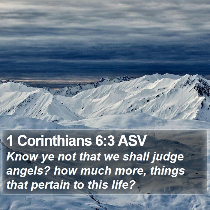 1 Corinthians 6:3 ASV Bible Study