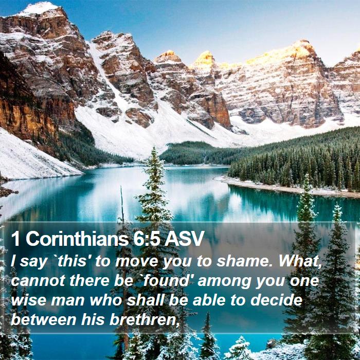 1 Corinthians 6:5 ASV Bible Study