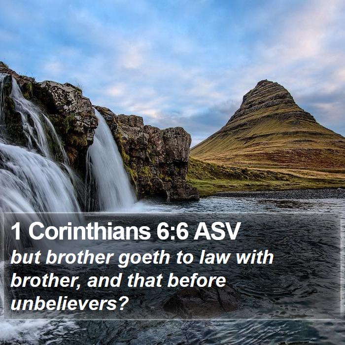 1 Corinthians 6:6 ASV Bible Study