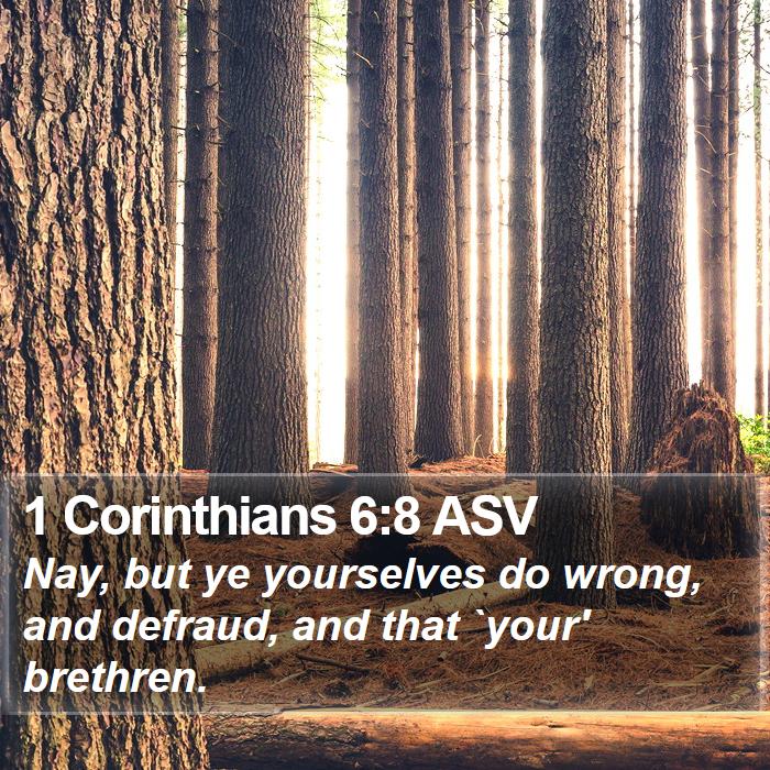 1 Corinthians 6:8 ASV Bible Study