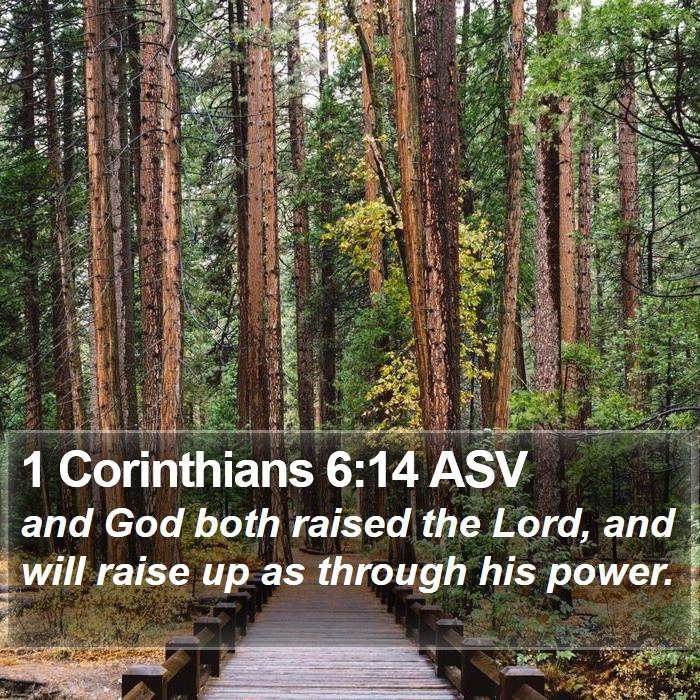 1 Corinthians 6:14 ASV Bible Study