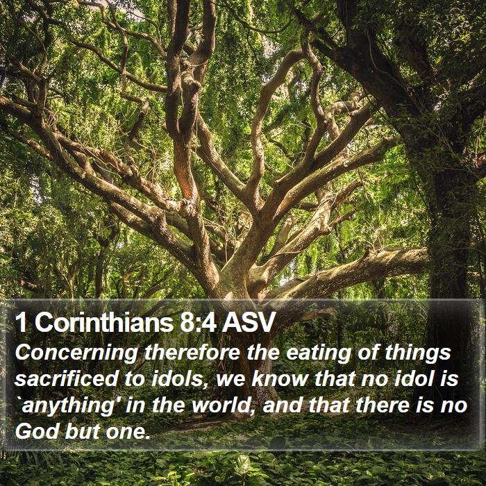 1 Corinthians 8:4 ASV Bible Study