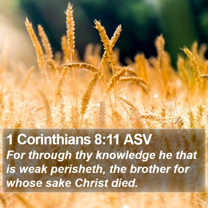 1 Corinthians 8:11 ASV Bible Study