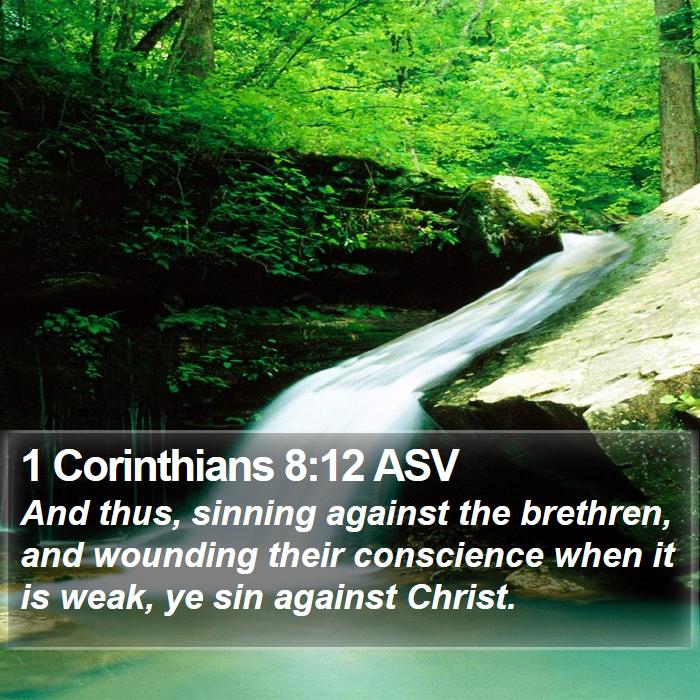 1 Corinthians 8:12 ASV Bible Study