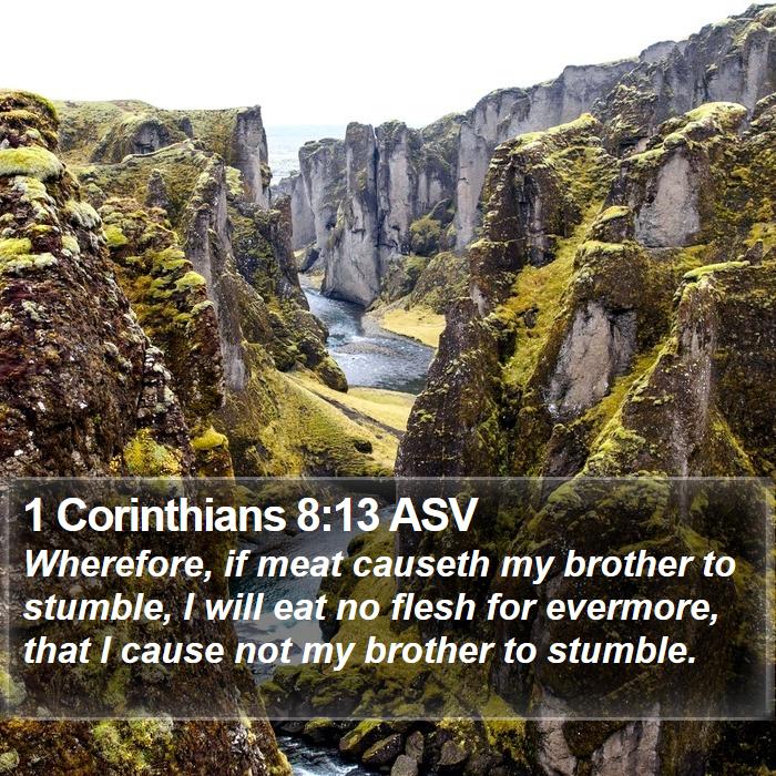 1 Corinthians 8:13 ASV Bible Study