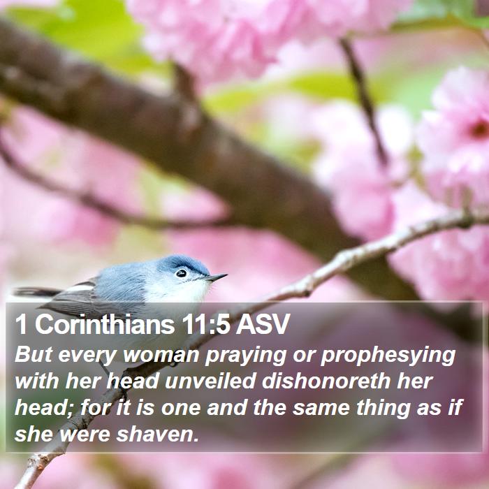 1 Corinthians 11:5 ASV Bible Study