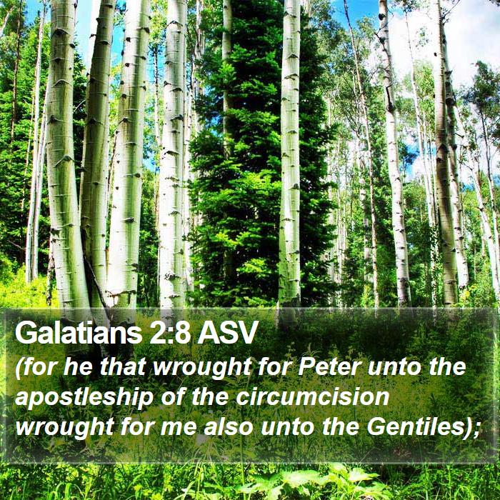 Galatians 2:8 ASV Bible Study