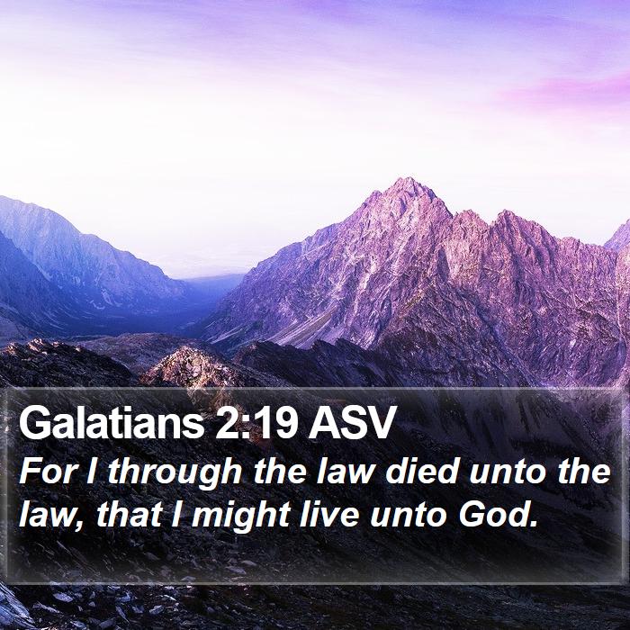 Galatians 2:19 ASV Bible Study